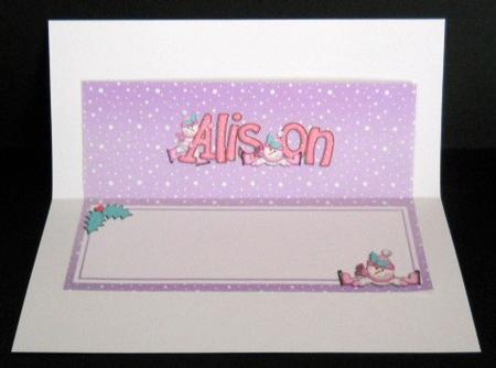Xmas Alison Matching Large Dl Insert by Joan Prince