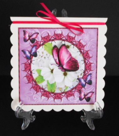 Pink Butterfly Framed White Flowers by Joan Prince