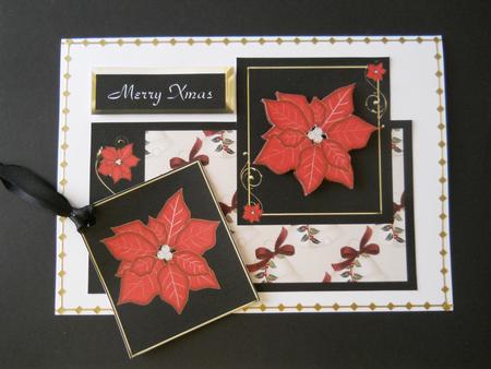 Christmas Poinsettia Card Front by Joan Prince