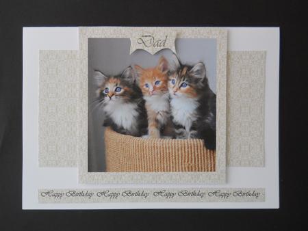3 Kittens by Joan Prince
