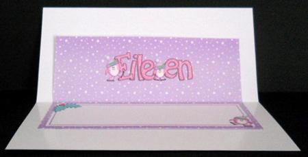 Xmas Eileen Matching Large Dl Insert by Joan Prince