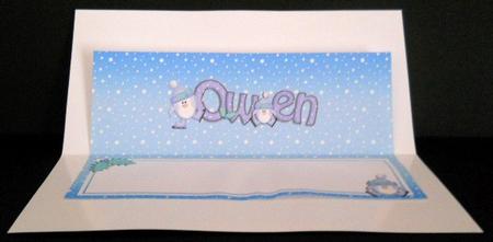 Xmas Owen Matching Large Dl Insert by Joan Prince