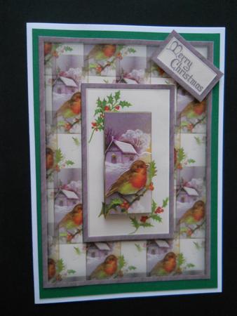 Robin & Snow Scene Quick Card by Joan Prince