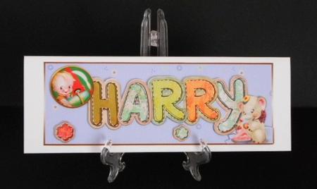 Harry by Joan Prince