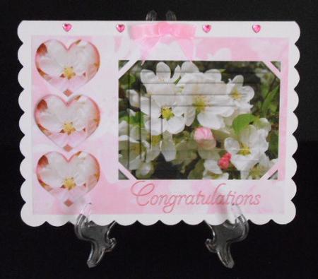 Blossom by Joan Prince