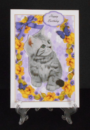 Lovely Grey Cat in Yellow Rose Frame by Joan Prince