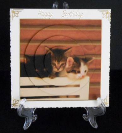 Cute Kittens Circle Pyramid by Joan Prince