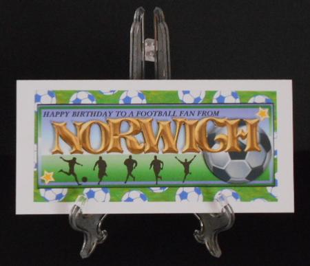 Football Fan from - Norwich by Joan Prince