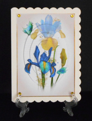 Gorgeous Iris & Butterfly Script - Pyramid by Joan Prince