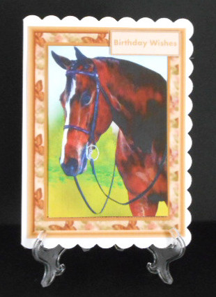 Beautiful Horse Card and Topper  by Joan Prince