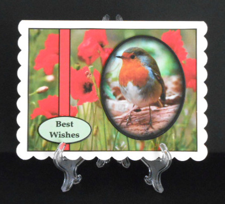 Robin and Poppies by Joan Prince