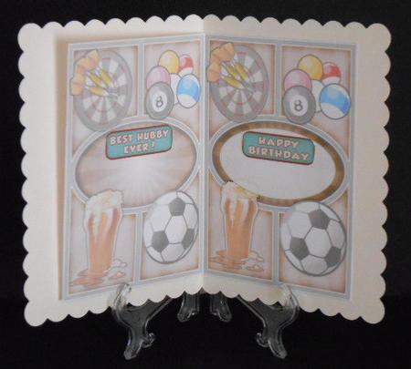 Hubby Hobbies Insert by Joan Prince