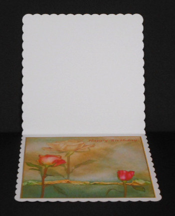 Roses Insert 2 by Joan Prince