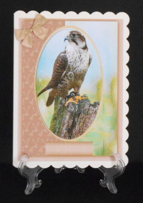 Beautiful Falcon on a Log  by Joan Prince