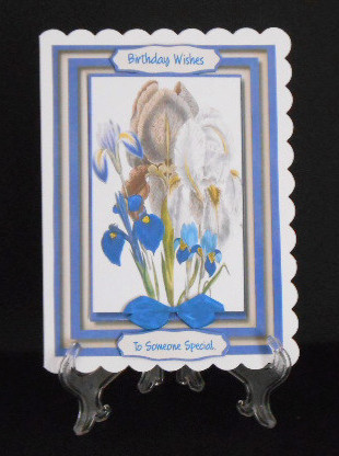 A5 Lovely White and Blue Irises  by Joan Prince