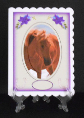 My Pony by Joan Prince