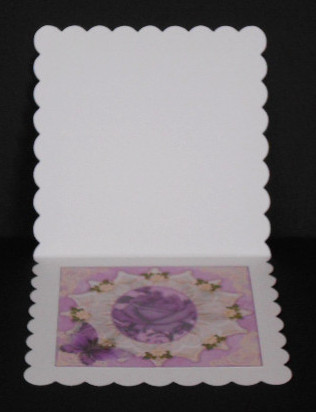 Insert to Satin Rose by Joan Prince
