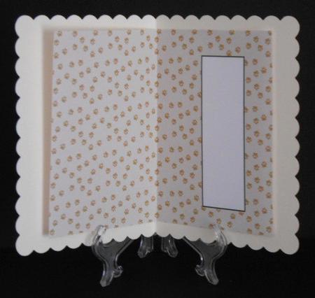Big Cat Insert by Joan Prince