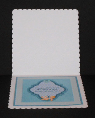 Baby Boy Insert by Joan Prince