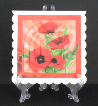 Poppies by Joan Prince