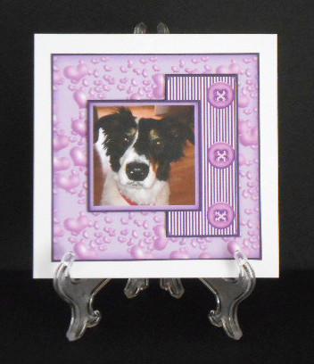 A Girls Best Friend by Joan Prince