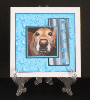 Love Me Love My Dog by Joan Prince