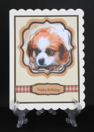 Beautiful King Charles Spaniel  by Joan Prince