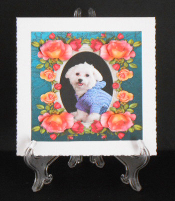 8 x 8 Bichon Frise Dog & Roses Card Topper & Decoupage by Joan Prince