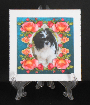 8 x 8 Nancy Shih Tzu Puppy Dog Roses Card Topper & Decoupage by Joan Prince
