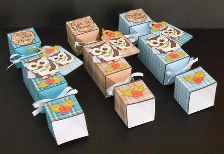3D Little Hoot Owl Tartan Christmas Cracker Boxes by Joan Prince