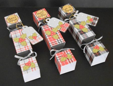 3D Tartan Christmas Holly Cracker Boxes by Joan Prince
