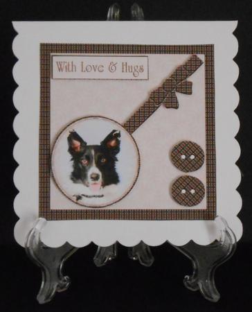 Mix'n'match - Border Collie by Joan Prince
