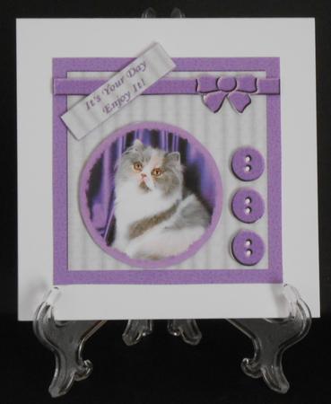 Mix'n'match - Fluffy Cat on Purple by Joan Prince