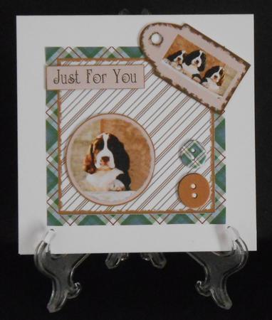 Mix'n'match - Spaniel by Joan Prince