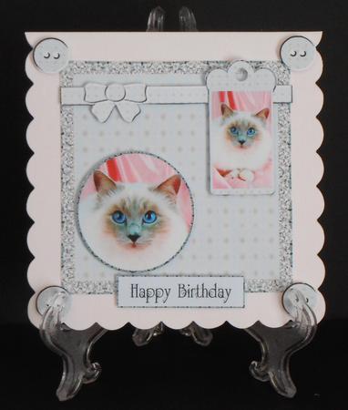 Mix'n'match - Blue Eyed Cat by Joan Prince