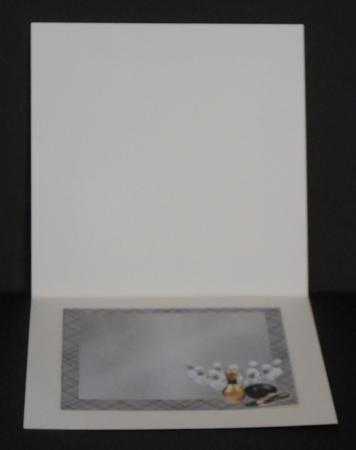 Bowling is a Ball Insert by Joan Prince