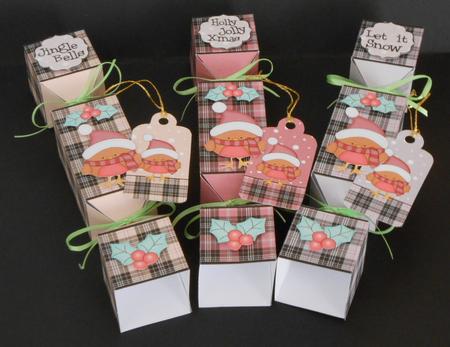 3D Little Bobbin Robin Tartan Christmas Cracker Boxes by Joan Prince