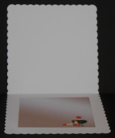 Insert for the Lady by Joan Prince