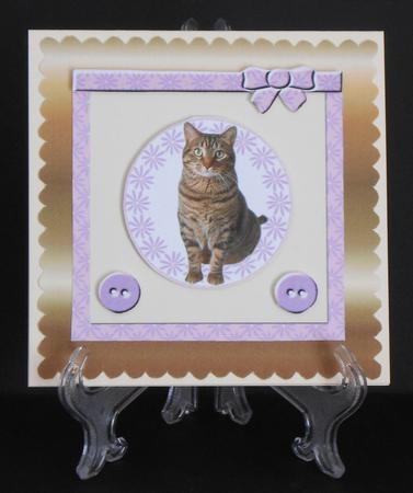 Mix'n'match - Tabby Cat by Joan Prince