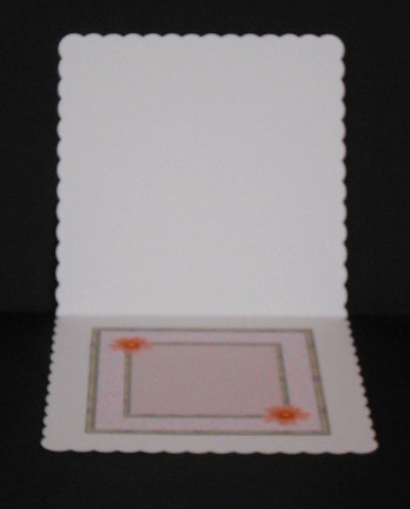 Chloe Butterfly Insert by Joan Prince