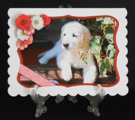 Golden Retriever Puppy with Flowers Decoupage by Joan Prince