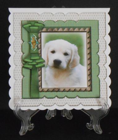 Birthday Boy Puppy in Scallop Frame by Joan Prince