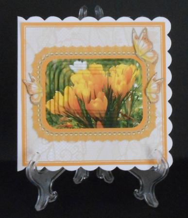 Yellow Crocii by Joan Prince