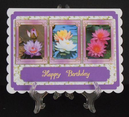 Flower Series: Water Lilies by Joan Prince