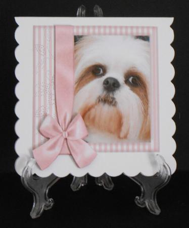 Pup in Pink Frame 8x8 by Joan Prince