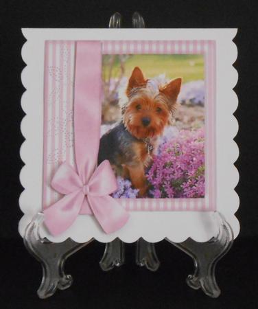 Pup in Lilac Frame 8x8 by Joan Prince