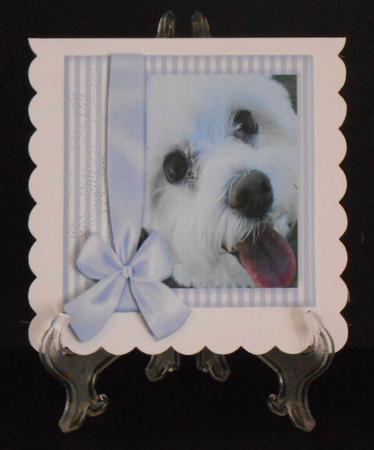 Pup in Blue Frame by Joan Prince