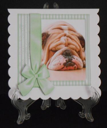 Dog in Green Frame 8x8 by Joan Prince