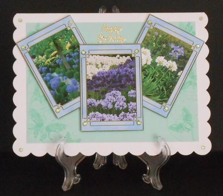 Butterfly Edges - Set of 12 Backing Papers by Joan Prince