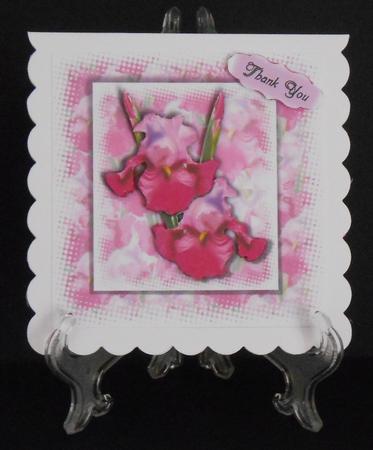 Pretty Pink Iris Masked by Joan Prince